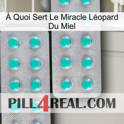 À Quoi Sert Le Miracle Léopard Du Miel 29